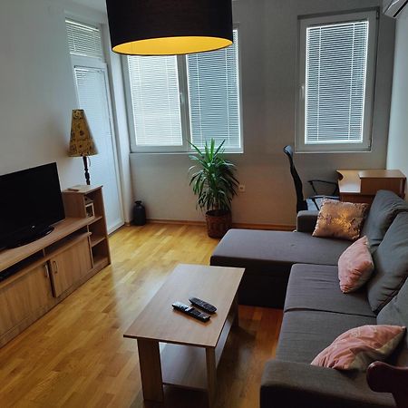 Apartman Aleksic Nis Bagian luar foto