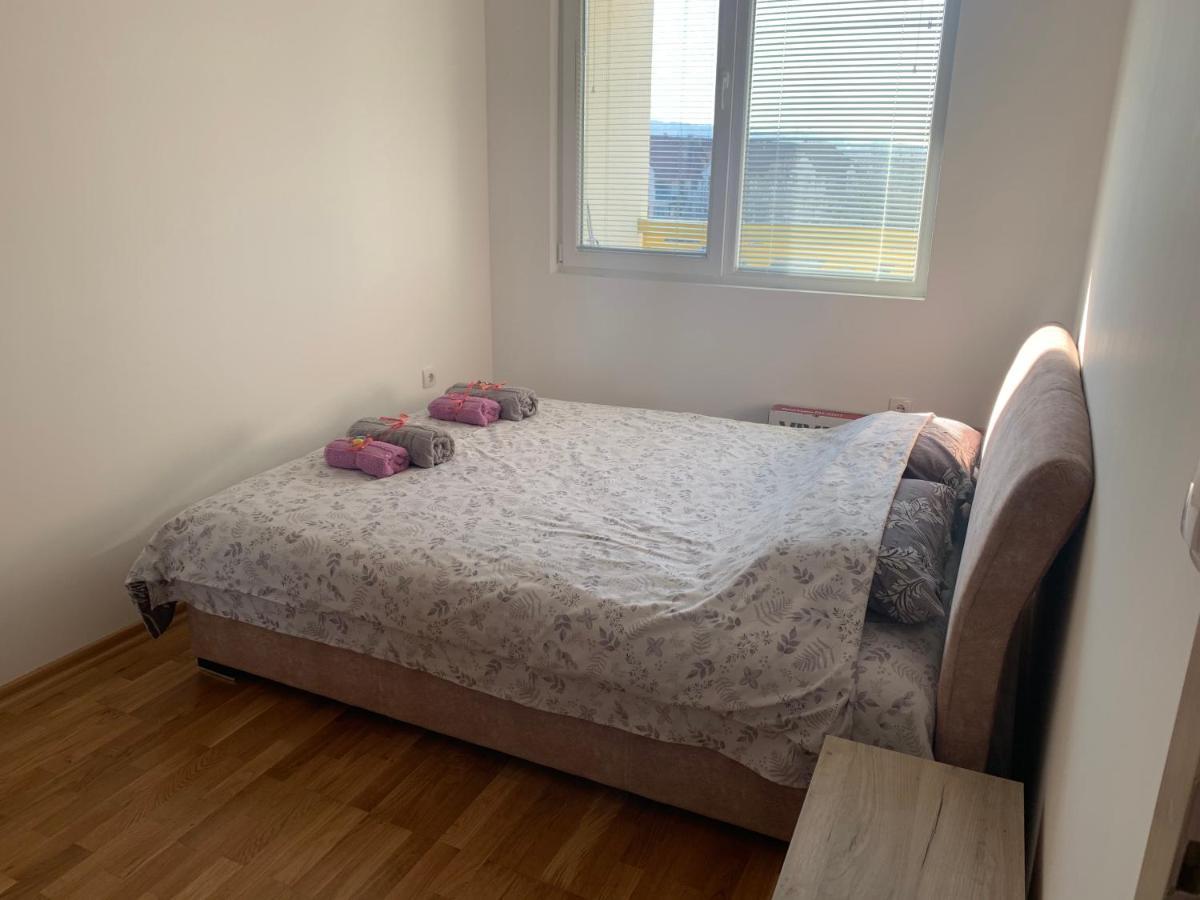 Apartman Aleksic Nis Bagian luar foto