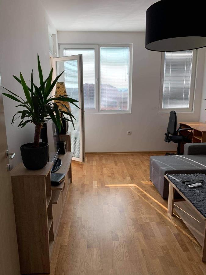 Apartman Aleksic Nis Bagian luar foto