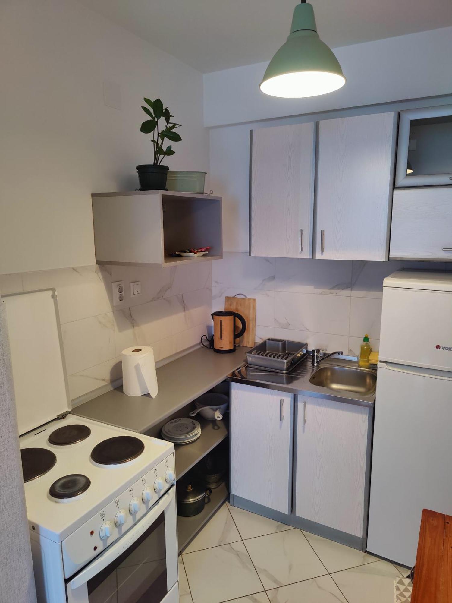 Apartman Aleksic Nis Bagian luar foto