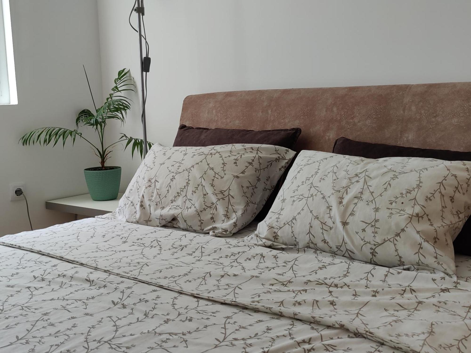 Apartman Aleksic Nis Bagian luar foto