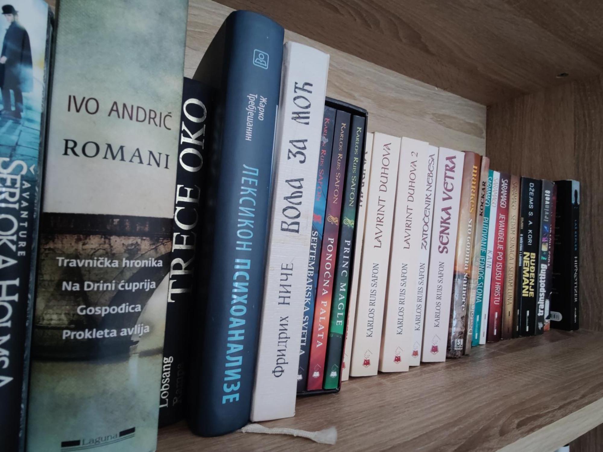 Apartman Aleksic Nis Bagian luar foto
